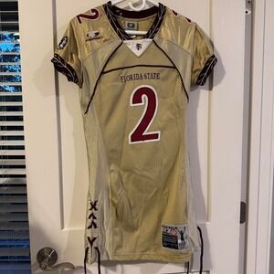 Florida State Seminoles jersey dress